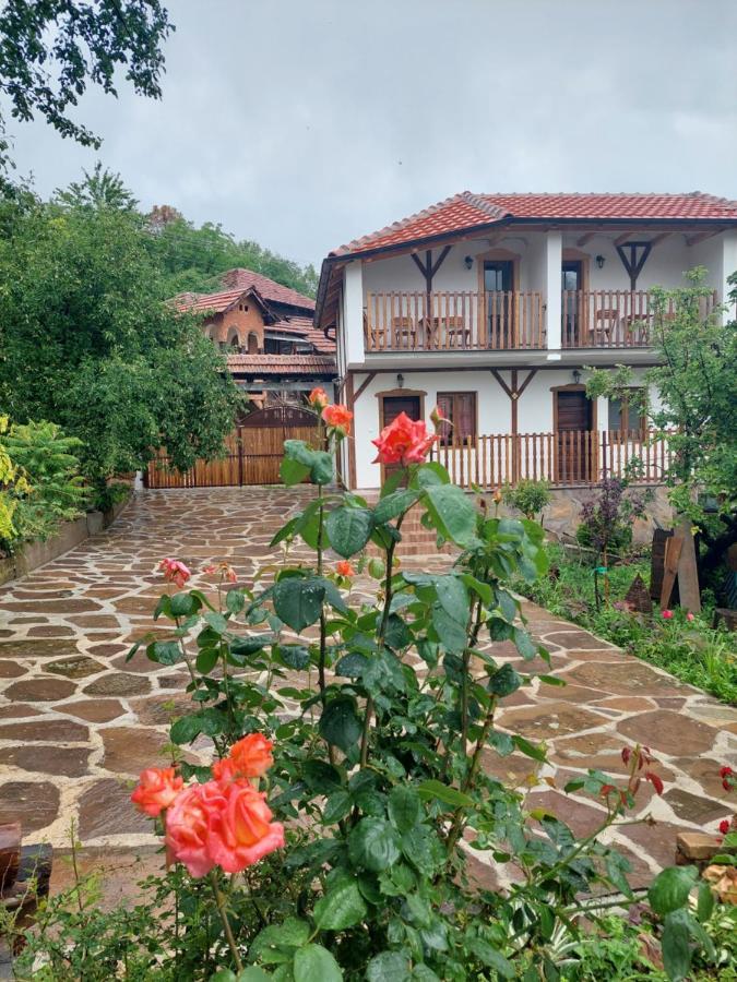 Golemi Kamik Pirot Vlasi Exterior photo
